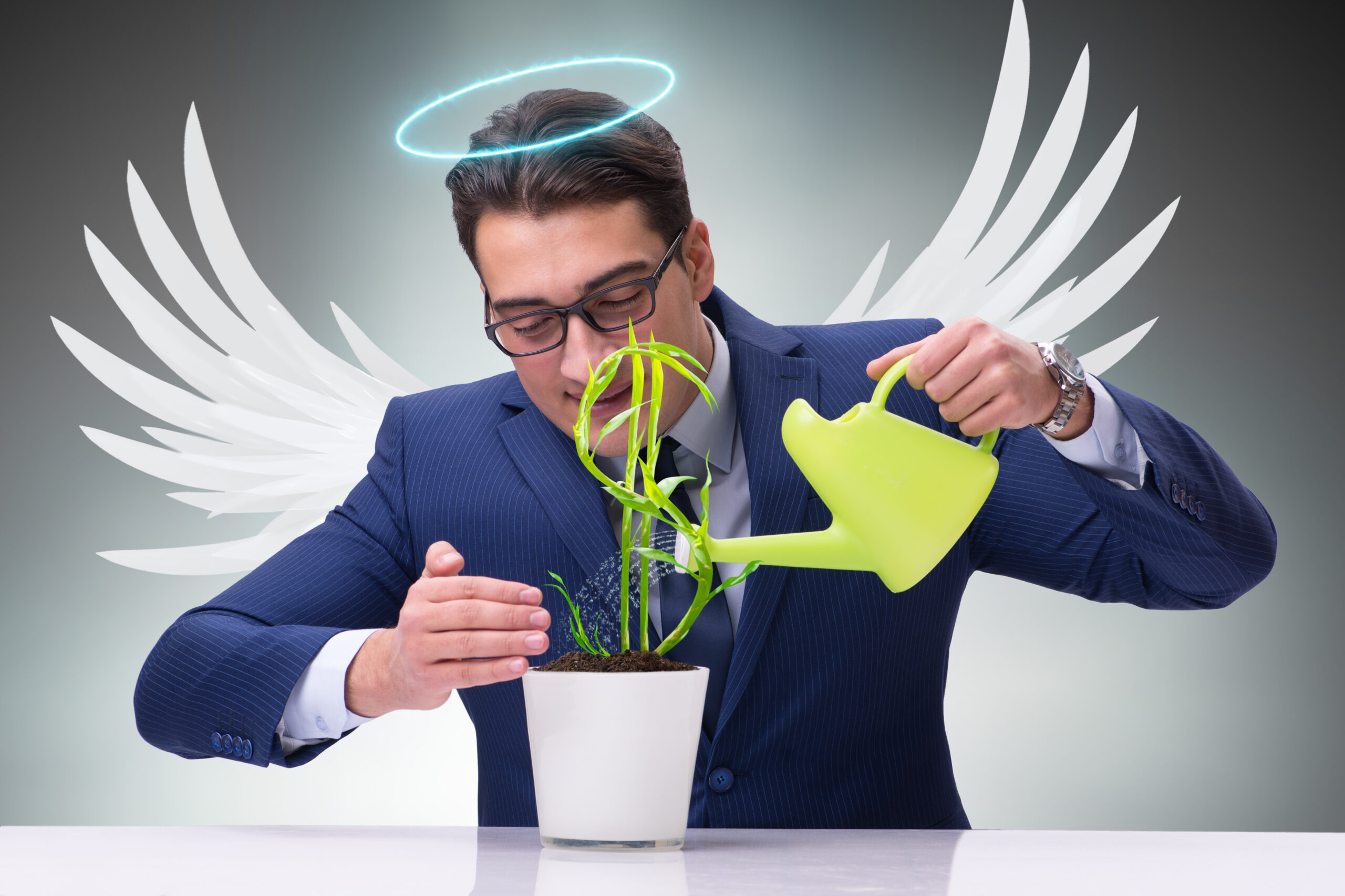 So what exactly is an angel investor? 