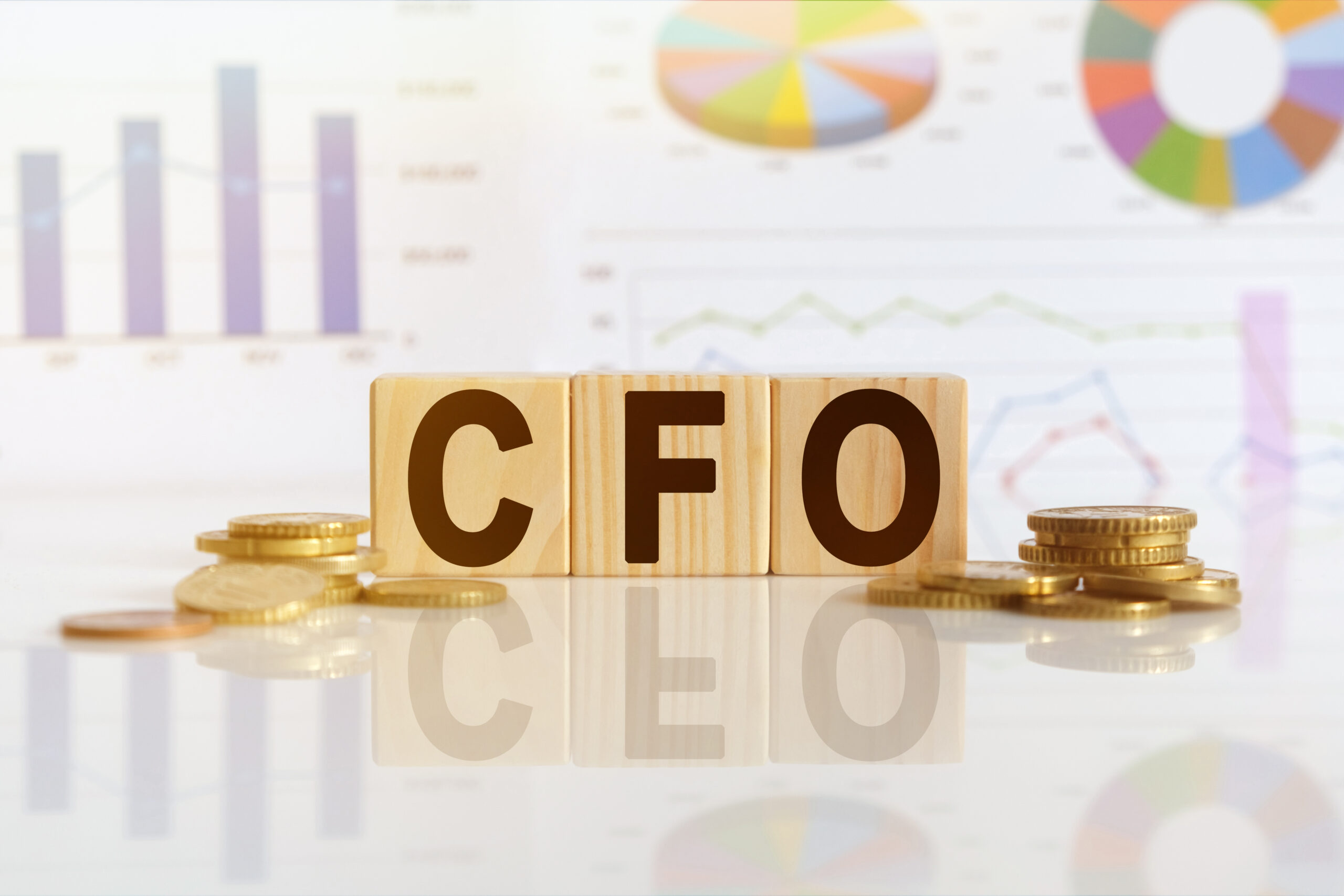 How a CFO Service can Assess your Finances, Keeping Company